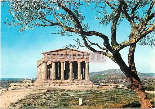 Cartes postales moderne Agrigento Temple de la Concorde et amandier en fleurs