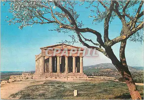 Moderne Karte Agrigento Temple de la Concorde et amandier en fleurs