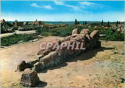 Cartes postales moderne Agrigento Le Geant