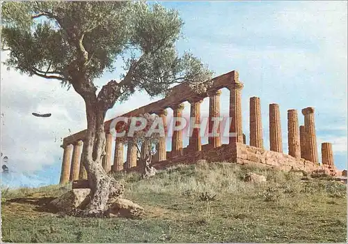 Cartes postales moderne Agrigento Templo di Glunone