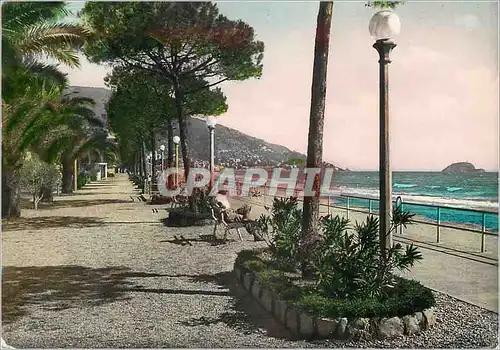 Cartes postales moderne La Riviera des fleurs Alassio Promenade le long de la Rue Leonardo da Vinci