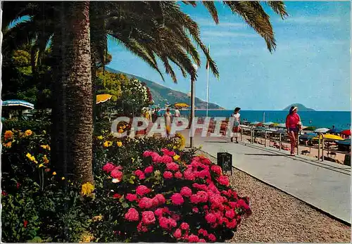 Cartes postales moderne Riviera des fleurs Alassio Promenade le long de la more et plage
