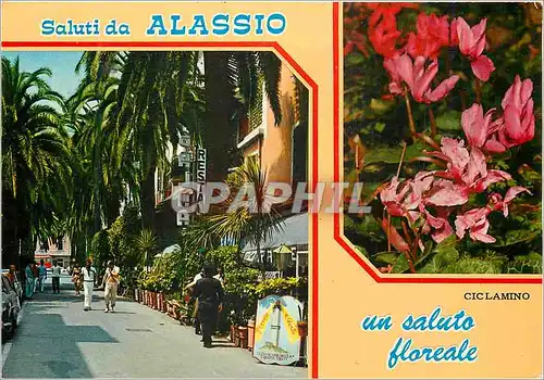 Cartes postales moderne Riviera dei Flori Alassio Rue Cavour