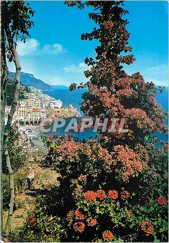 Cartes postales moderne Amalfi Vu de la jardin de l Hotel Cappuccini