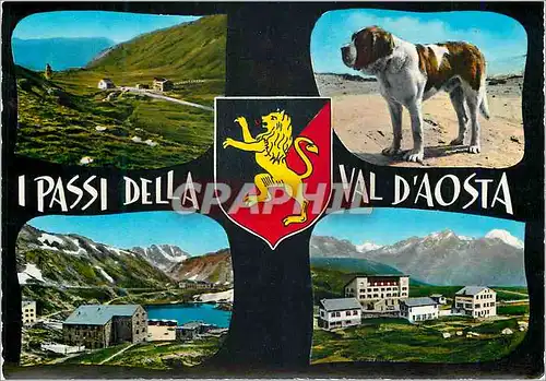 Cartes postales moderne Les cols de la Vallee d Aoste Chien