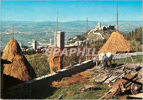 Cartes postales moderne Assisi Vue panoramique