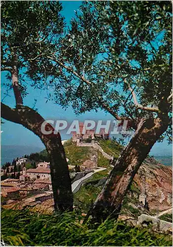 Cartes postales moderne Assisi La Rocca Maggiore vue de la Rocchicciola