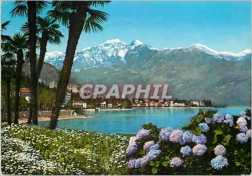 Cartes postales moderne Baveno Lago Maggiore