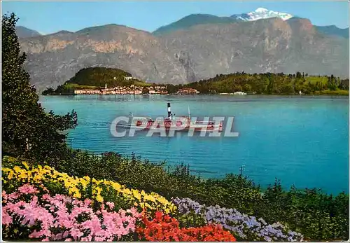 Cartes postales moderne Lago di Como Bellagio della Villa Carlotta