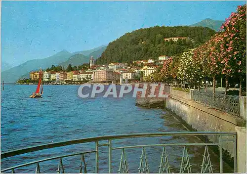 Cartes postales moderne Bellagio Lago di Como
