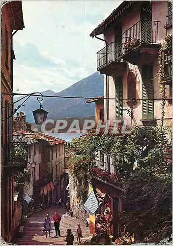 Cartes postales moderne Bellagio Lac de Como Montee Serbelloni