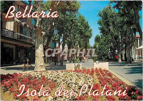 Cartes postales moderne Bellaria Ile des Platanes