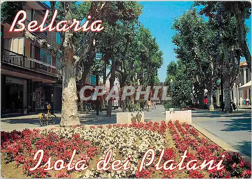Cartes postales moderne Bellaria Ile des Platanes
