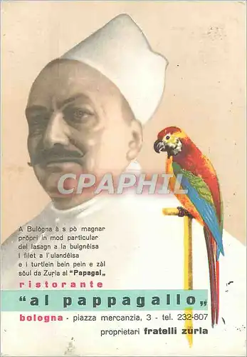 Cartes postales moderne al pappagallo Bologna piazza mercanzia Perroquet