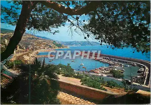 Cartes postales moderne Bordighera Le port