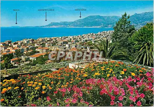 Cartes postales moderne Bordighera Panorama