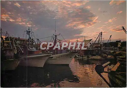 Moderne Karte Caorle Le port au coucher du soleil Bateaux de peche