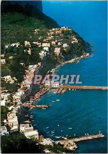 Cartes postales moderne Capri Panorama Marina Grande