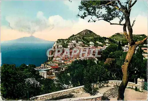 Cartes postales moderne Capri Vue generale