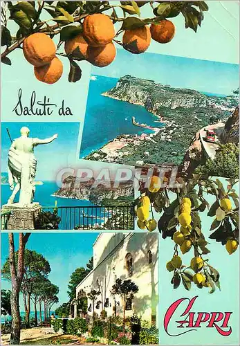 Cartes postales moderne Saluti da Capri