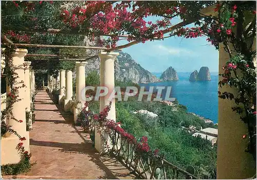 Cartes postales moderne Capri Les Faraglione vus d une Villa de Capri