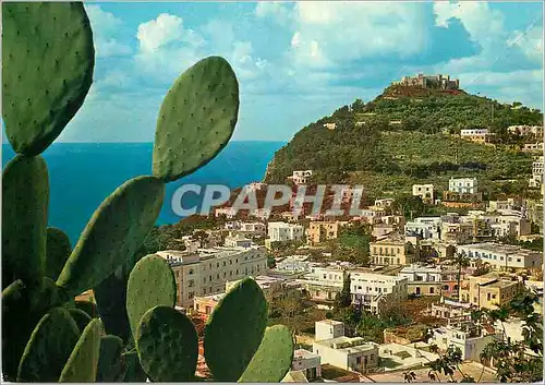 Cartes postales moderne Capri Vue generale avec le Castellaccio