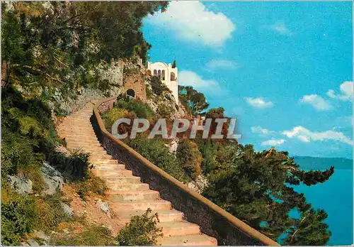 Cartes postales moderne Capri S Michele