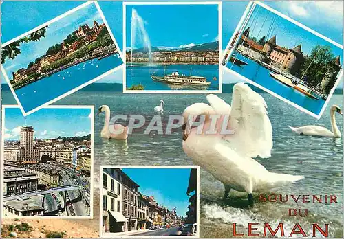 Cartes postales moderne Lac Leman souvenir