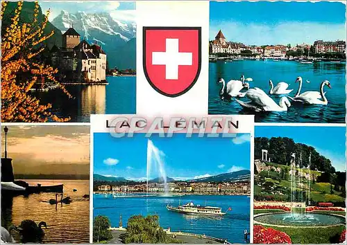 Cartes postales moderne Lac Leman chateau de chillon et les dents du midi