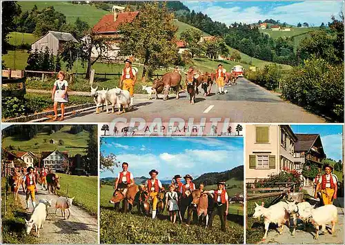 Moderne Karte Alpfahrt Chevre