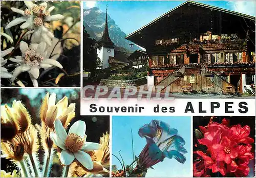 Cartes postales moderne Alpes souvenir