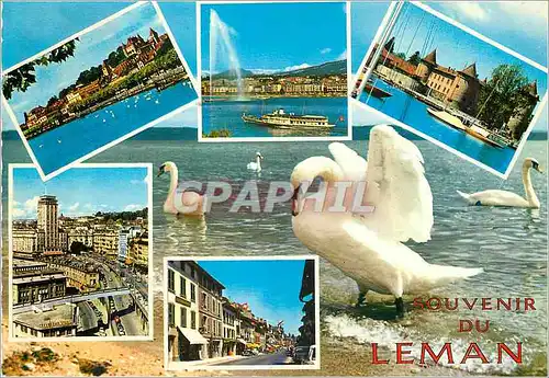 Cartes postales moderne Lac Leman Nyon le port et le chateau geneve le jet d'eau 130 m et le mont blanc 4810 m