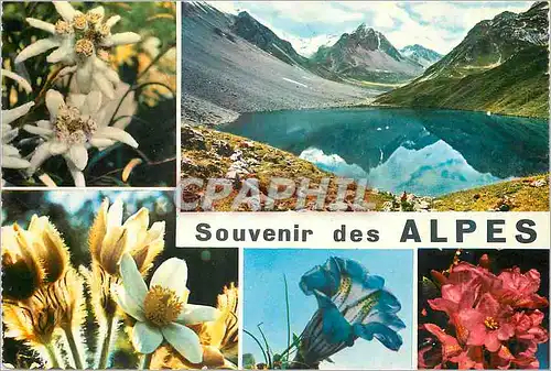 Moderne Karte Alpes souvenir