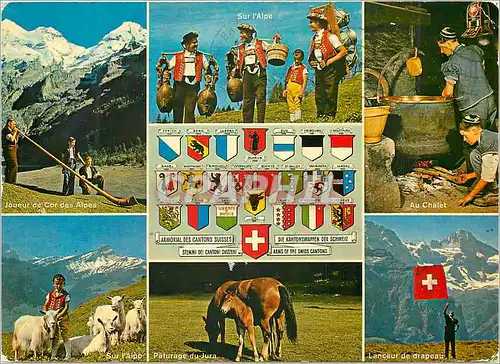 Cartes postales moderne Suisse Chevre