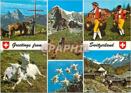 Cartes postales moderne Lac Leman chateau de chillon geneve le jet d'eau yvoire cite mediavale (XIVe s) evian le casino