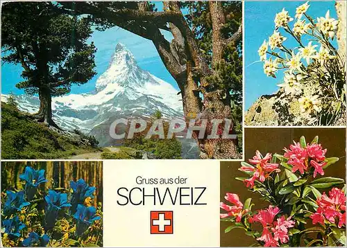 Moderne Karte Gruss aus der schweiz