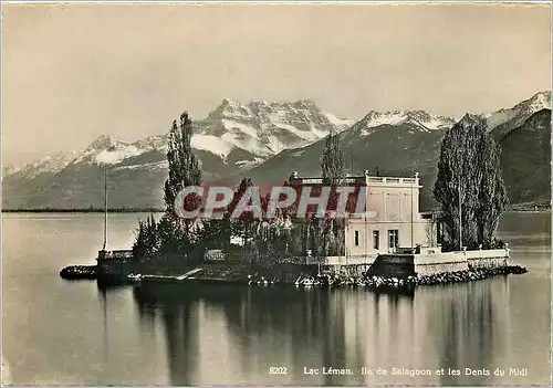 Cartes postales moderne Lac Leman ile de salagnon et les dents du