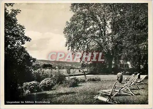 Cartes postales moderne Liegewiese im schloss brestenberg