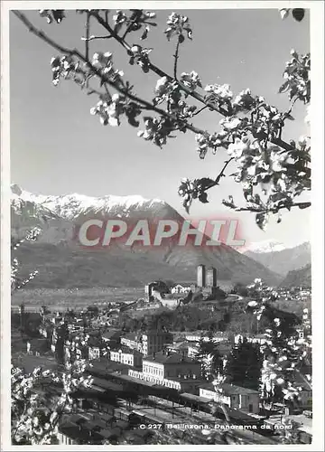Cartes postales moderne Bellinzona panorama da nord