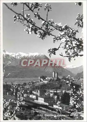 Moderne Karte Bellinzona panorama da nord