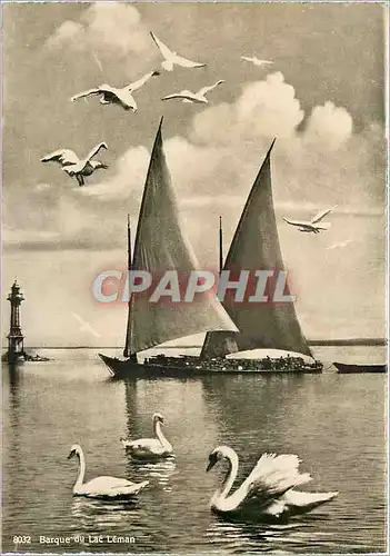 Cartes postales moderne Barque du Lac Leman Bateau Cygnes