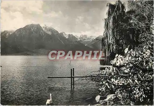 Cartes postales moderne Environs de Montreux (Suisse) le lac Leman et les alpes de Savoie
