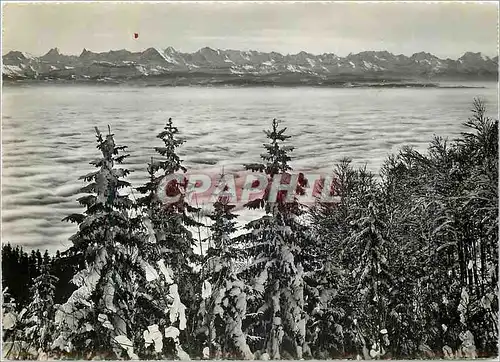 Cartes postales moderne Weissenstein mit blick auf die alpen Kurhaus hotel weissenstein