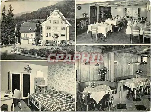 Moderne Karte Hotel-Restaurant St Gotthard Hospental