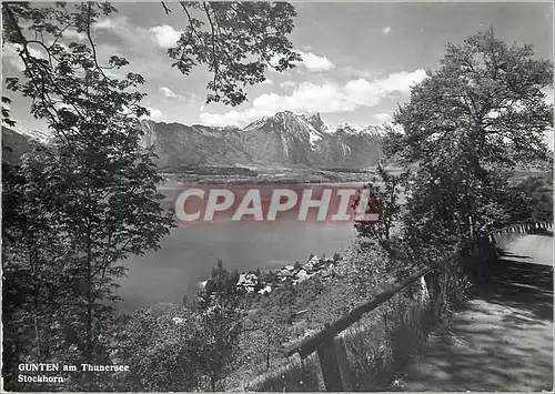 Cartes postales moderne Gunten am Thunersee Stockhorn
