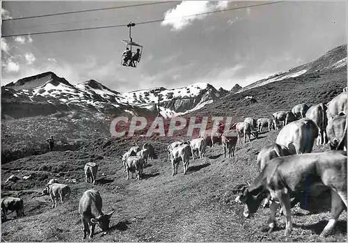 Moderne Karte Le Landeron (NE) Vaches