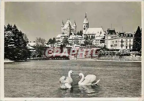 Cartes postales moderne Thun im Winter