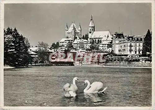 Cartes postales moderne Thun im Winter