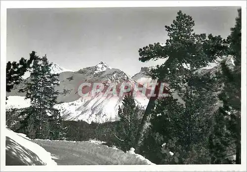 Moderne Karte Arosa Arlenwald-Promenade