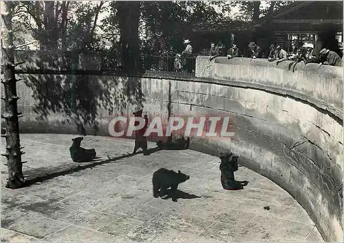 Cartes postales moderne Bern Barengraben